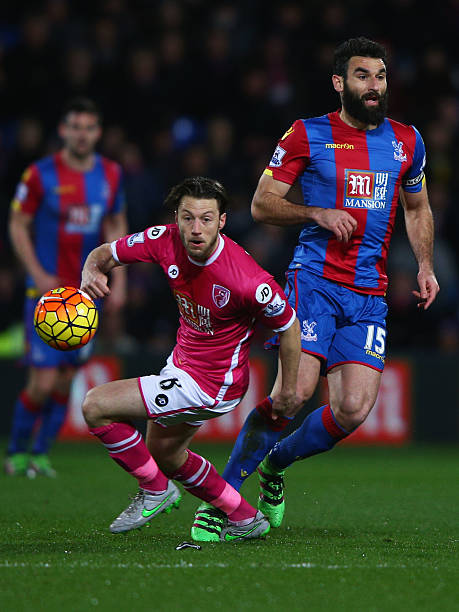 的凝聚力和 的凝聚力和